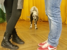 Tango Argentino Zagreb poluprivatni (min. 4 osobe) – termini po dogovoru / Semi-private in couples ples, plesni tečaj, plesna poduka - Plesna škola Institut argentinskog tanga Zagreb